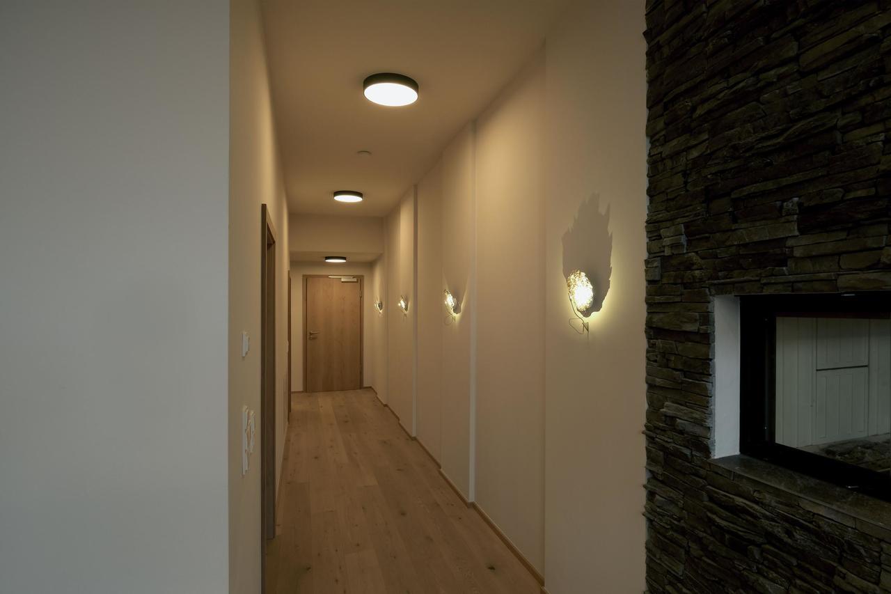 Апартаменти Alpin Penthouse Hollersbach Голлерсбах-ім-Пінцґау Екстер'єр фото
