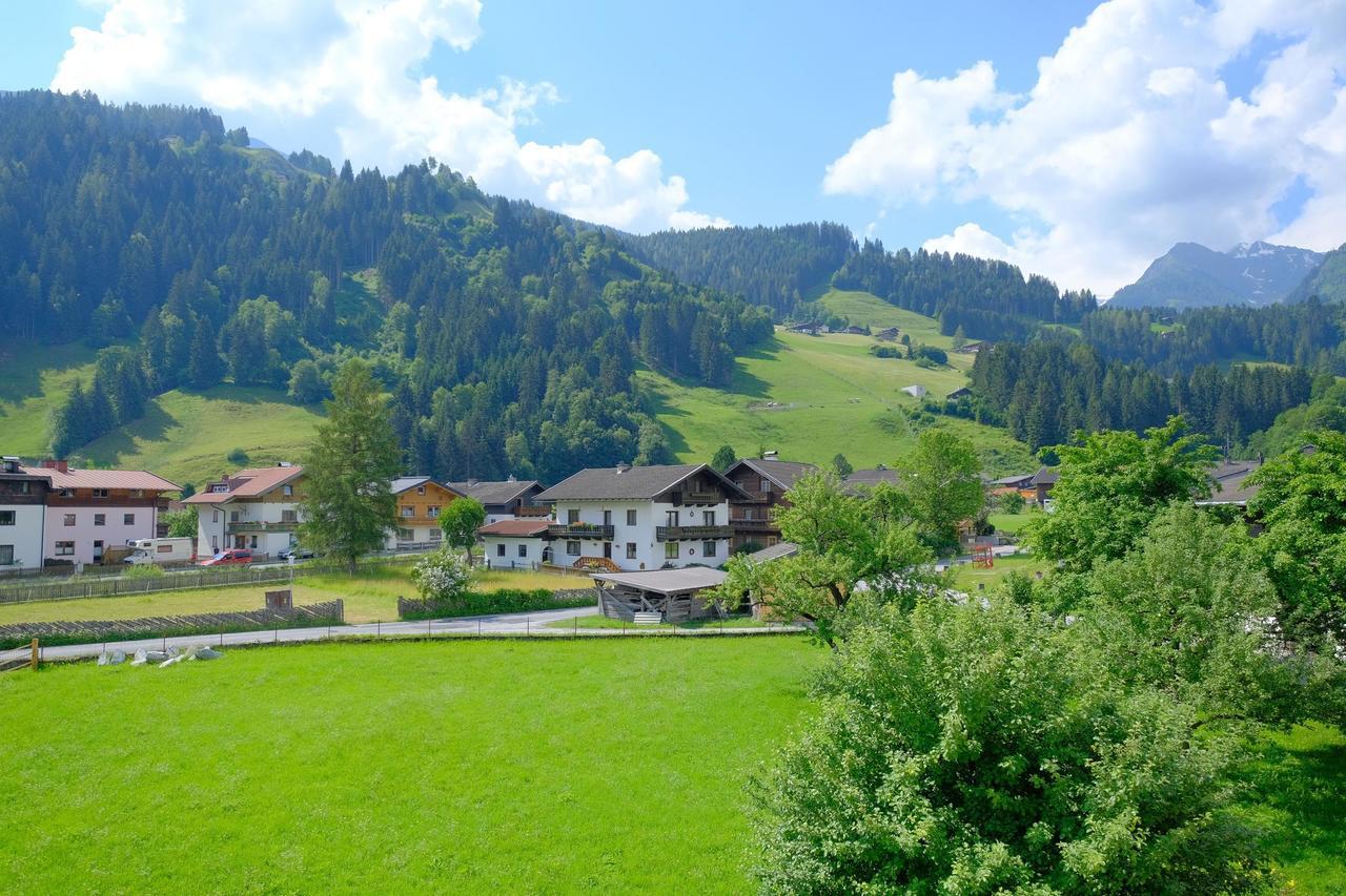Апартаменти Alpin Penthouse Hollersbach Голлерсбах-ім-Пінцґау Екстер'єр фото